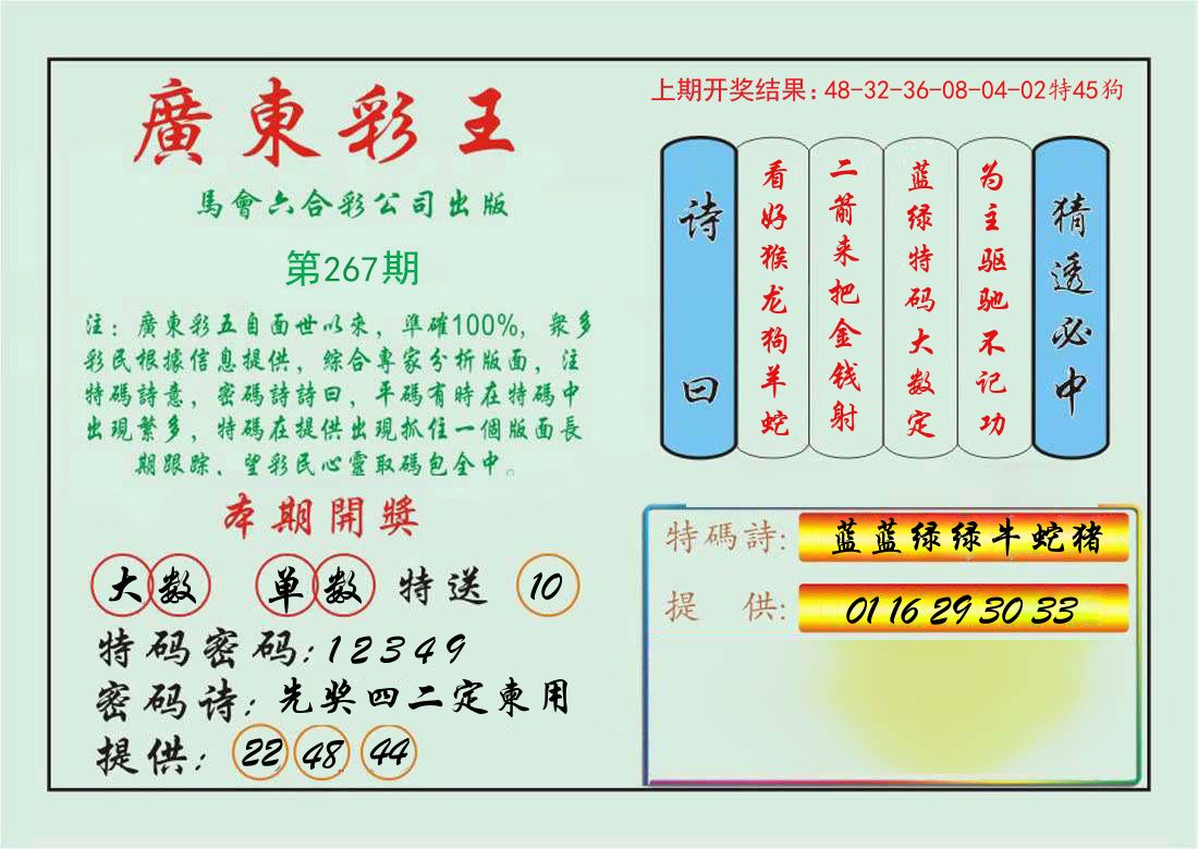 广东彩王 第267期