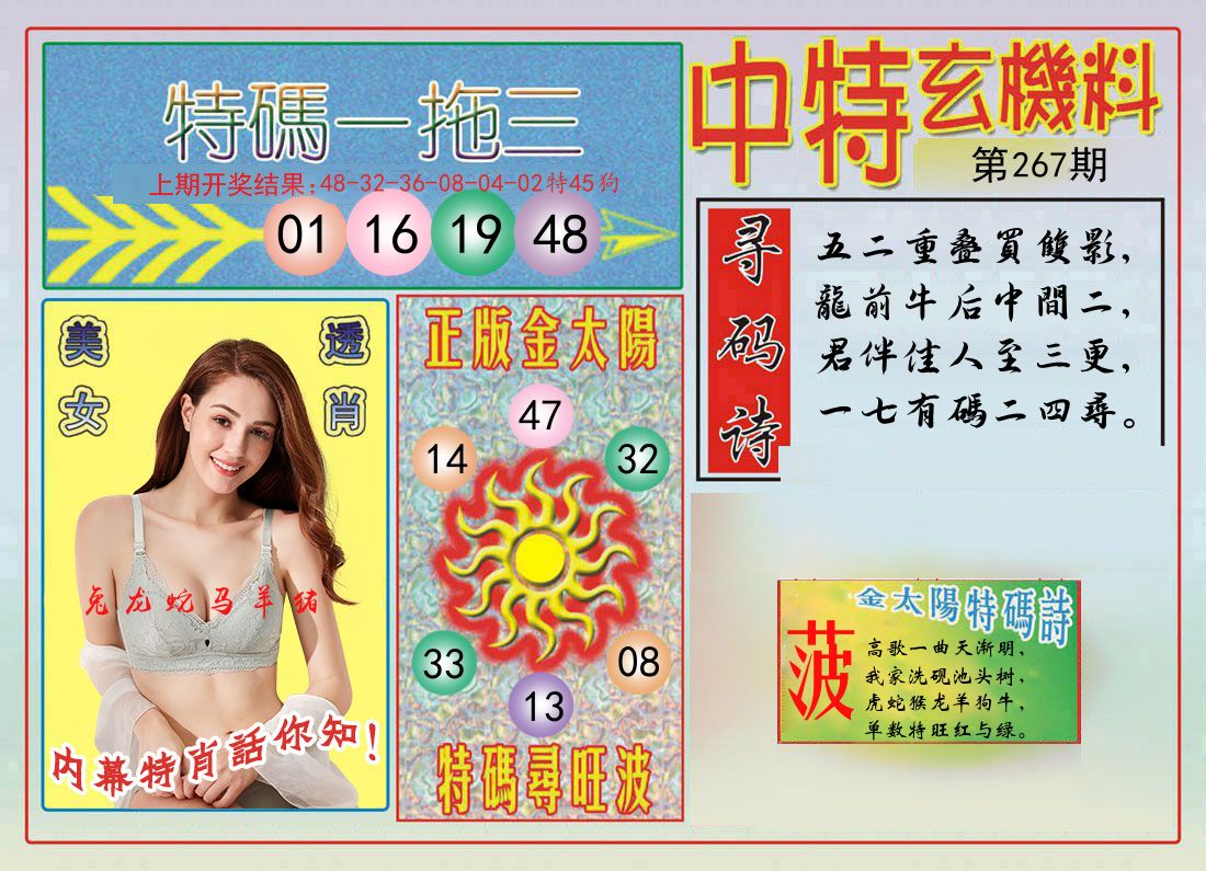 中特玄机料 第267期