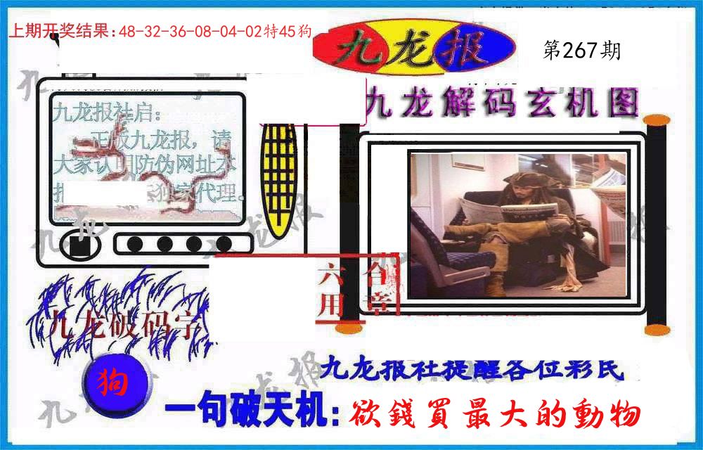 九龙报(信封) 第267期