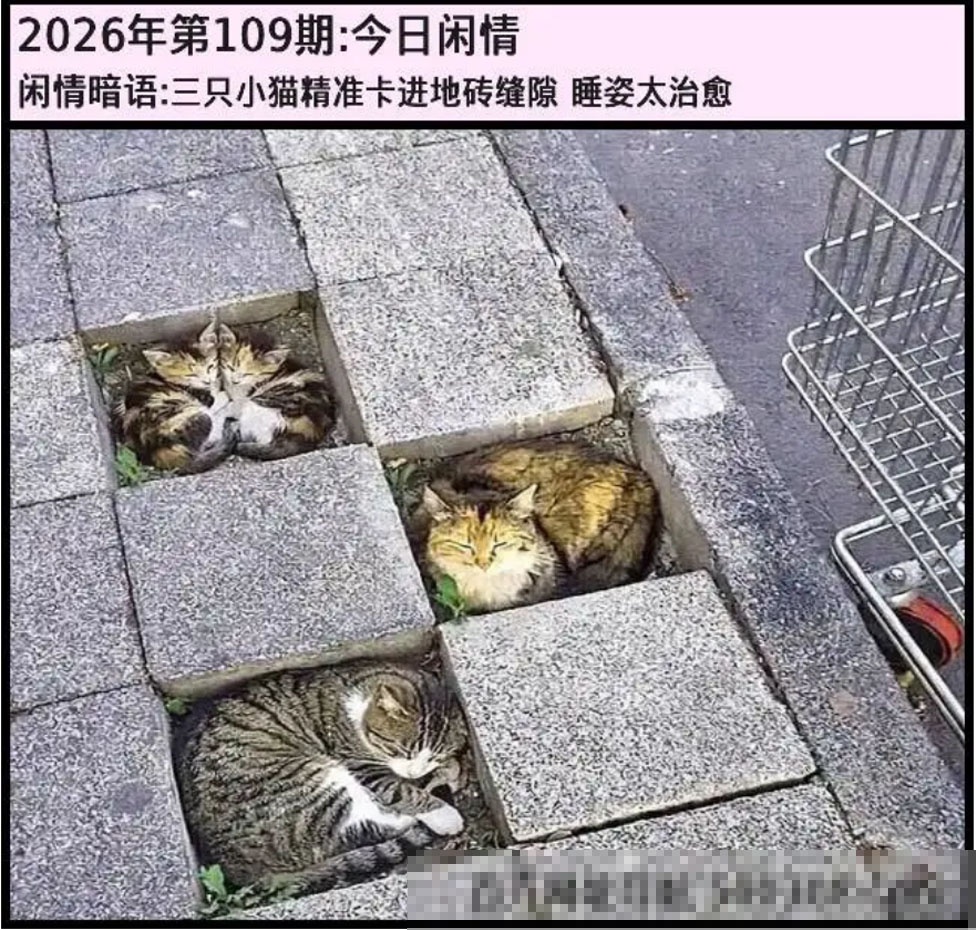 另版今日闲情 第108期
