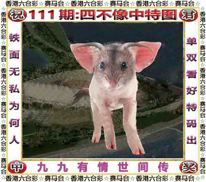 四不像中特图 第111期