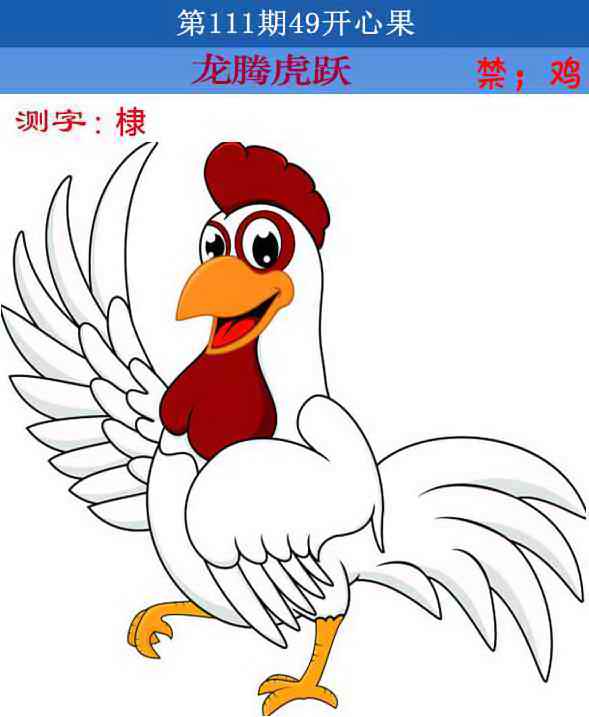 四九开心果 第110期