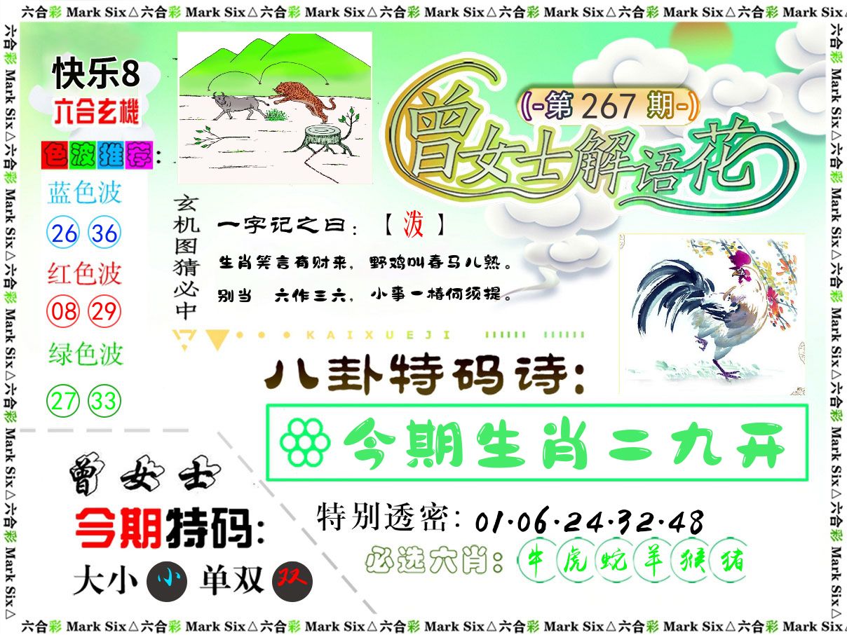 曾女士解语花 第267期