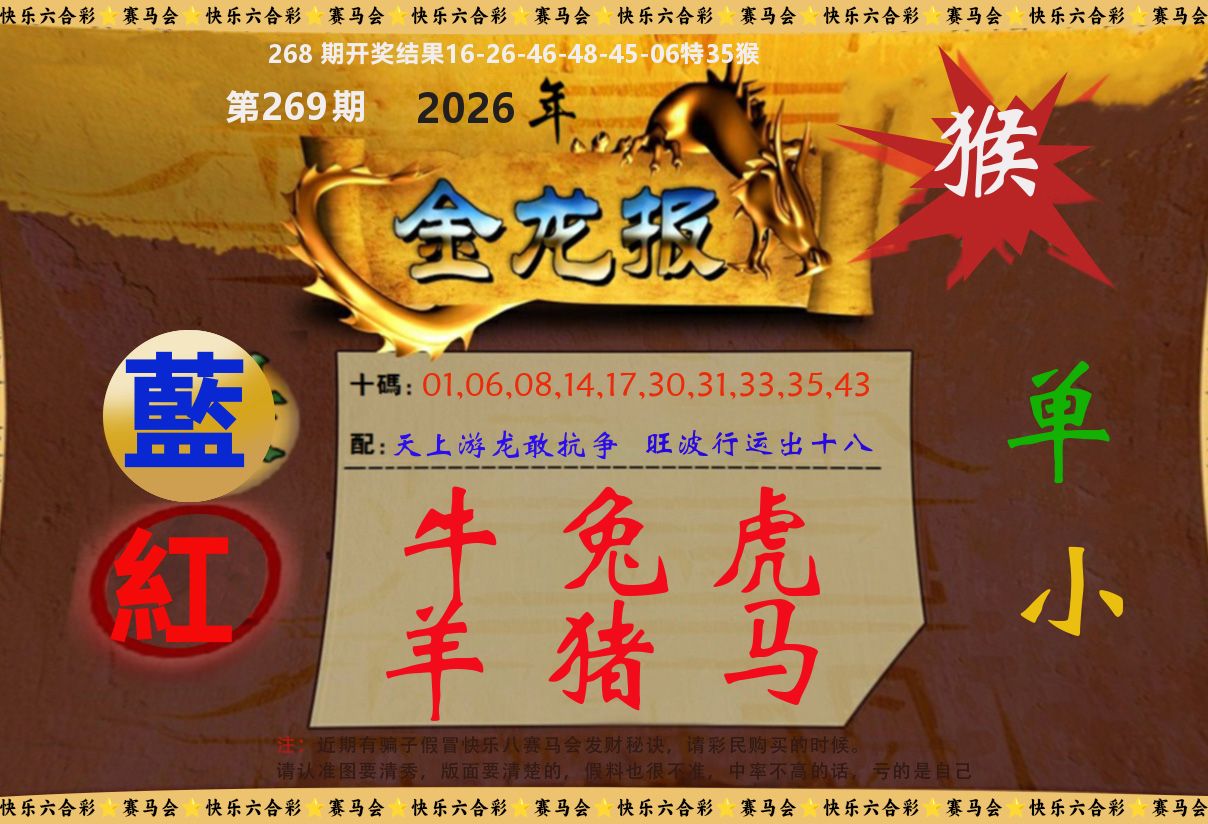 金龙报 第267期