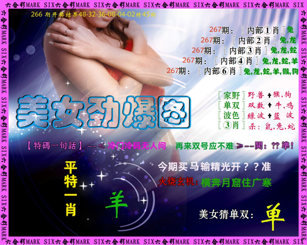 美女劲爆图 第267期