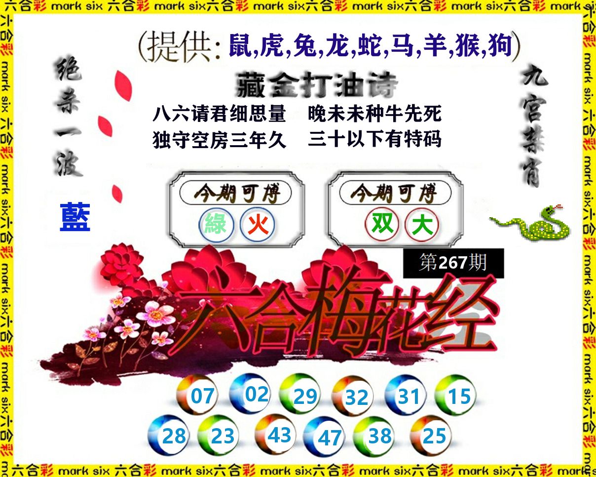 六合梅花经 第267期
