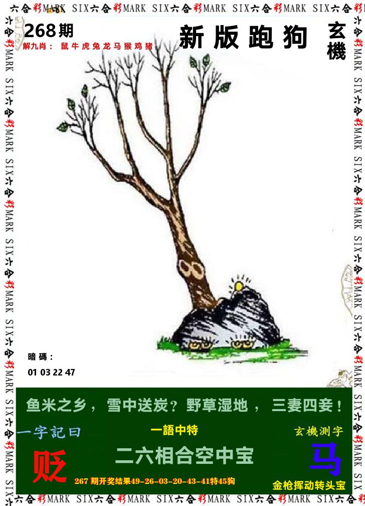 悟入其图 第267期
