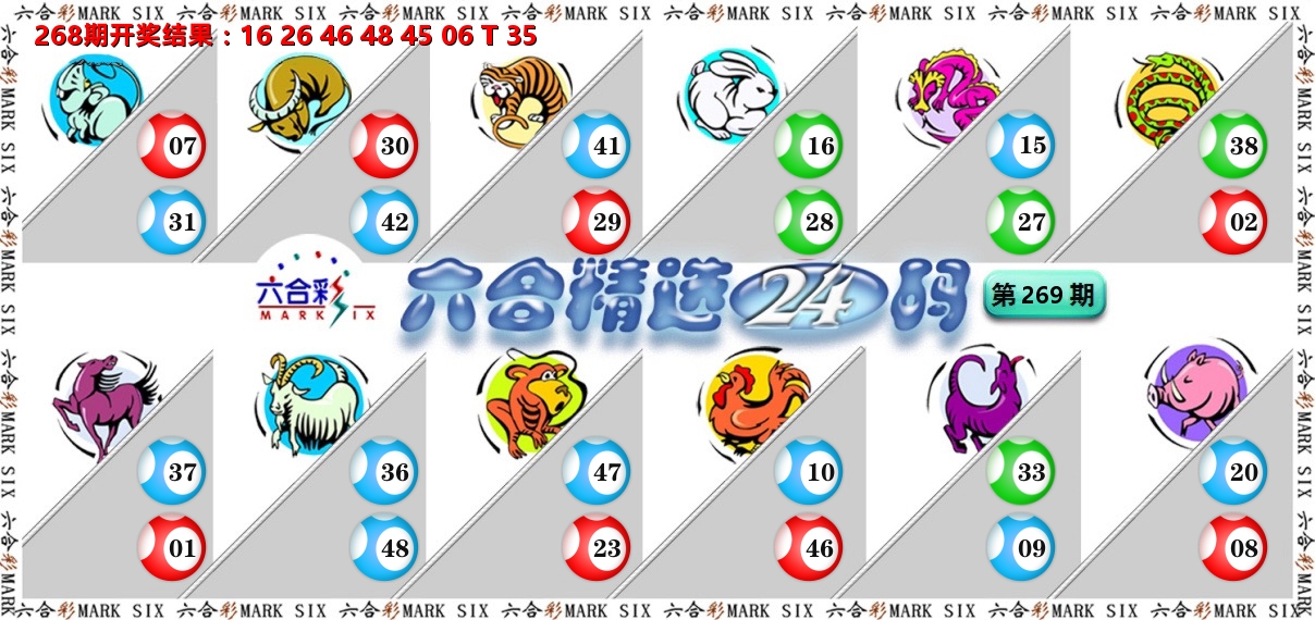 六合精选24码 第267期