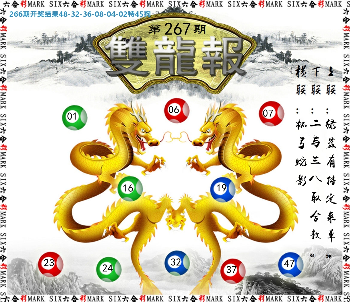 双龙报 第267期