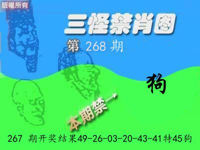 禁肖图《彩》 第267期