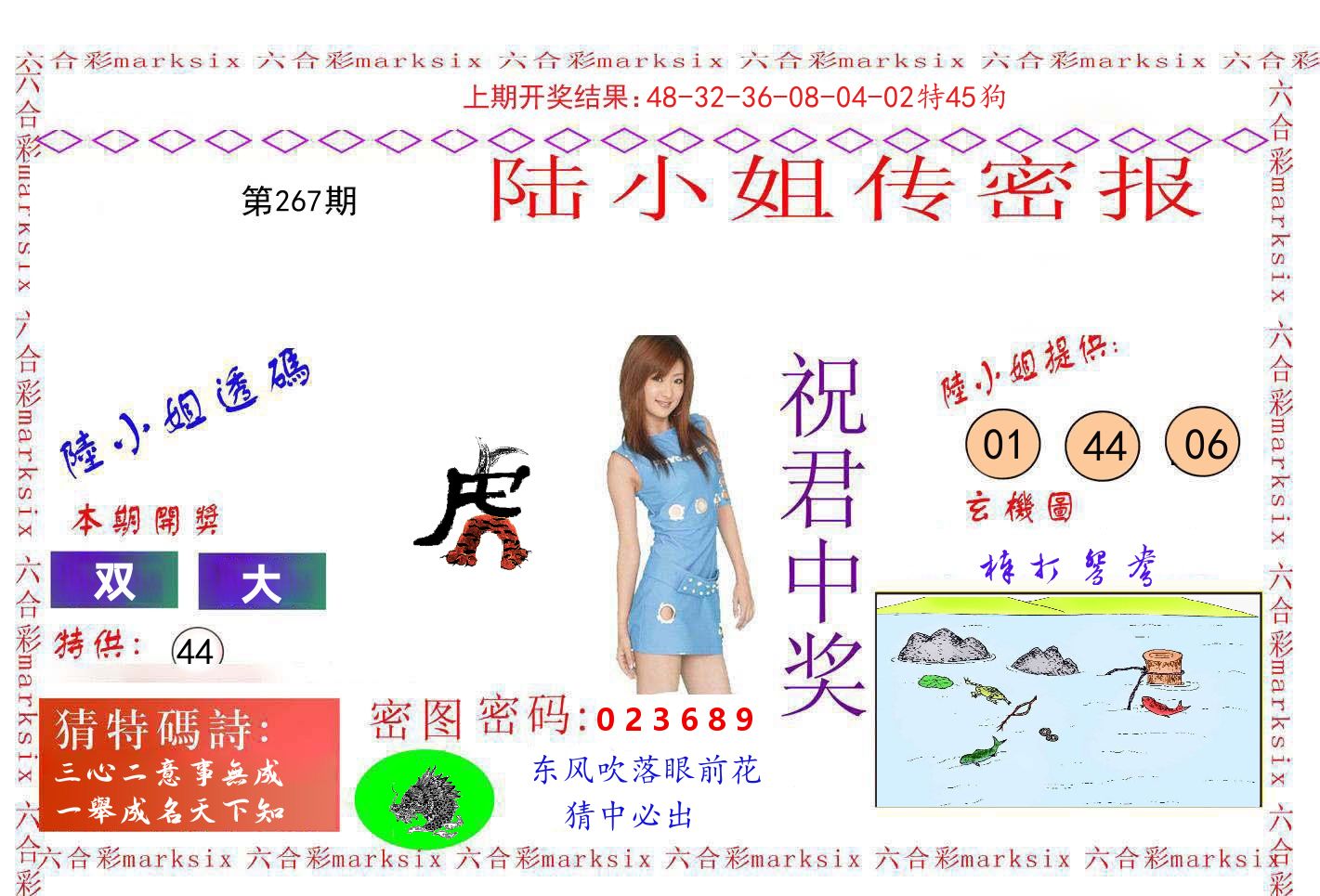陆小姐密报 第267期