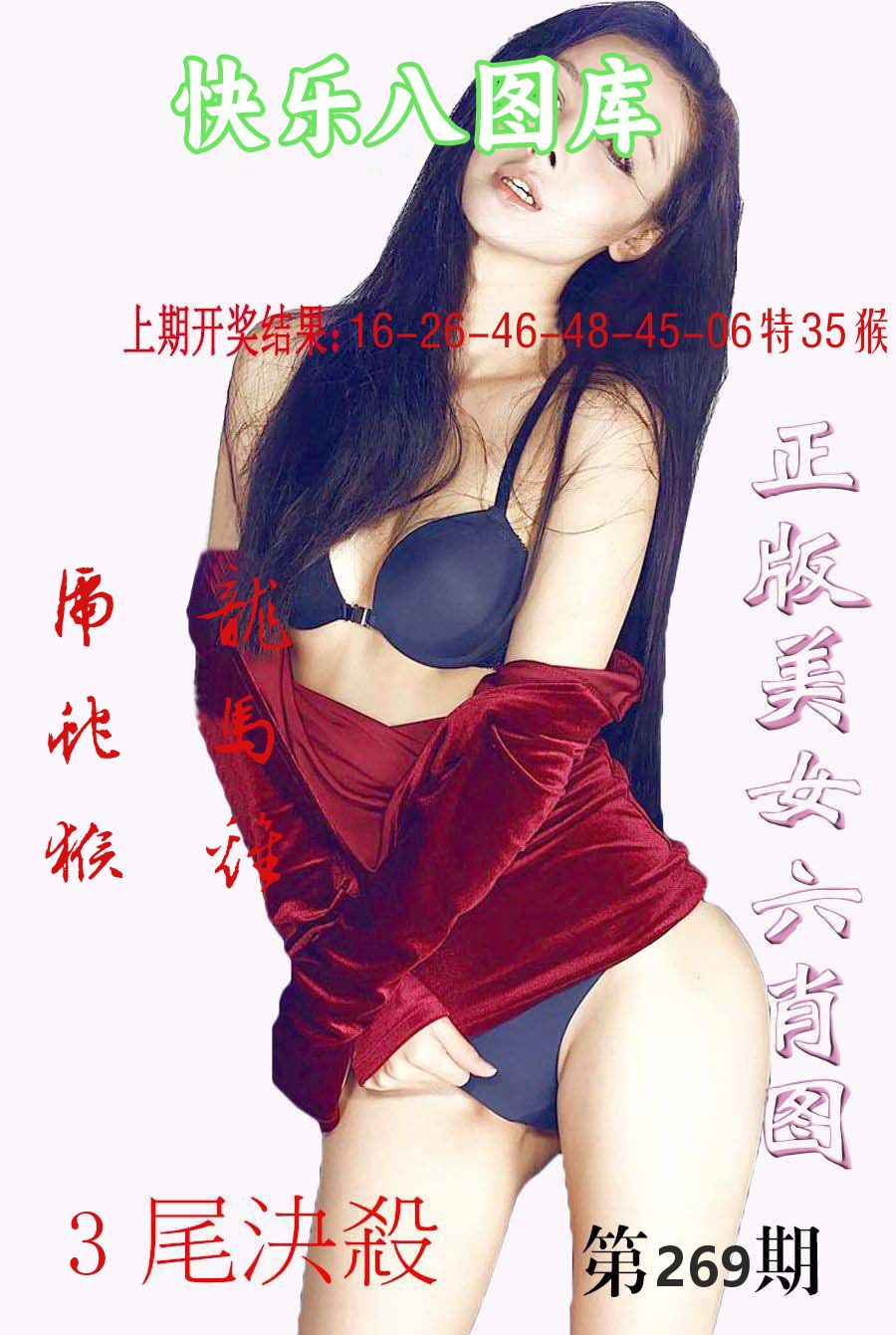 快乐八图库 第267期