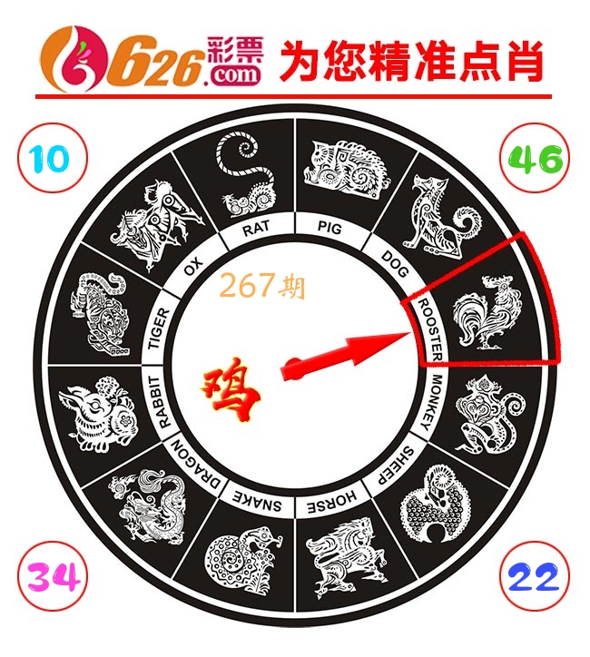 精准点肖 第267期