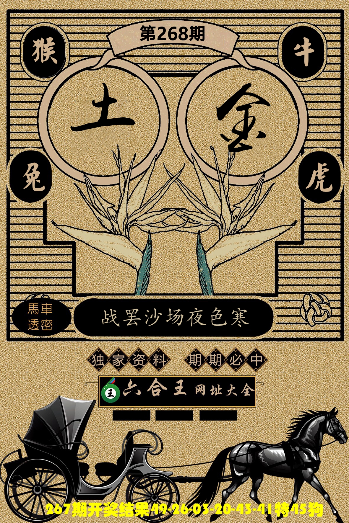 六合王马车透密 第267期