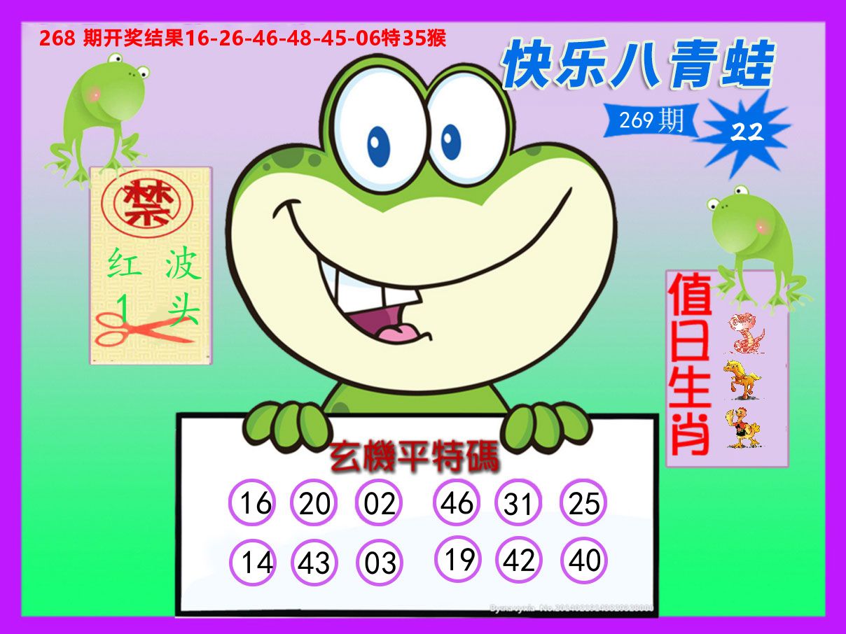 青蛙系列22 第267期