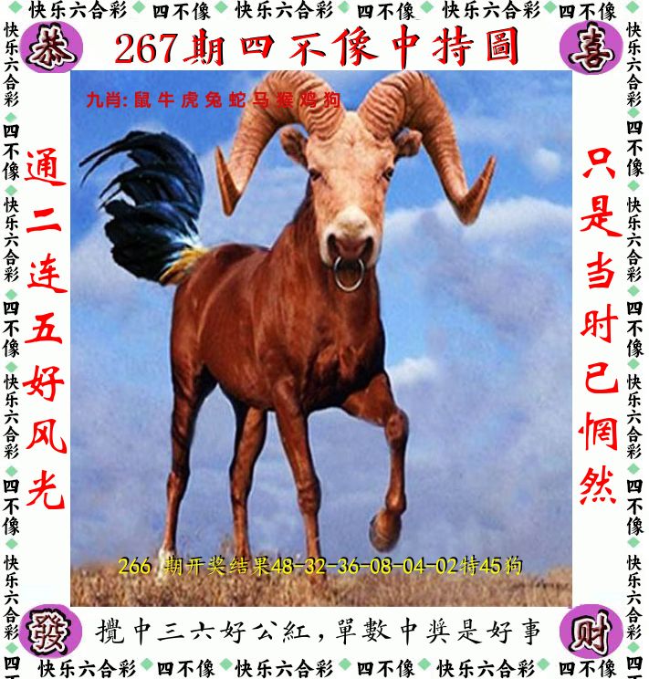 四不像 第267期