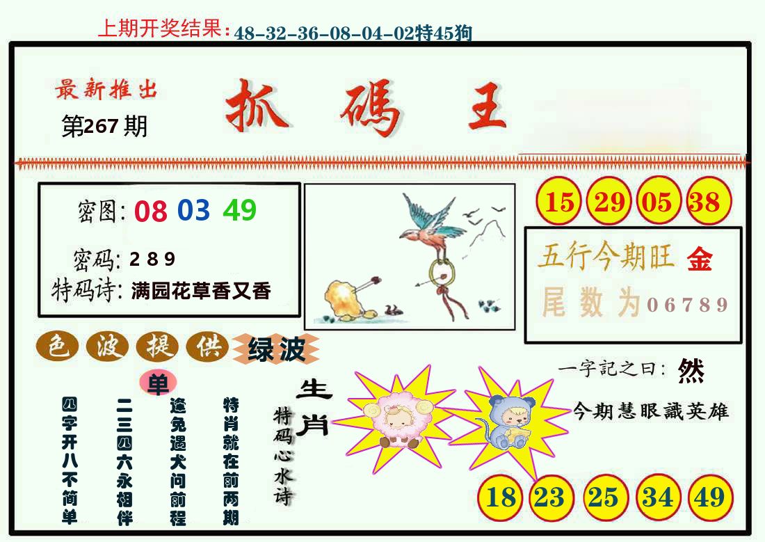 最新抓码王 第267期