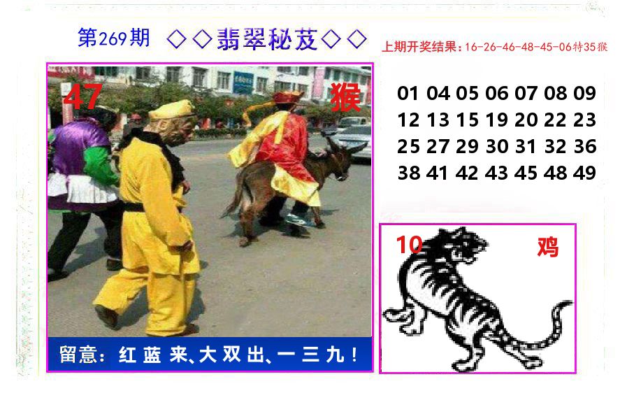 翡翠秘芨 第267期