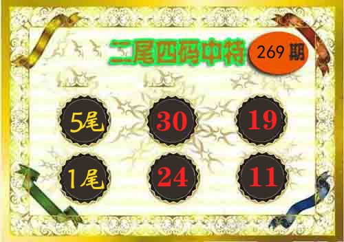 二尾四码中特 第268期