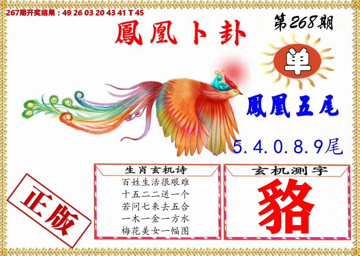 凤凰卜挂 第267期