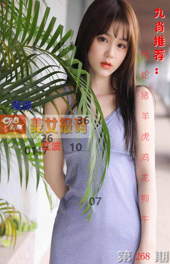 美女报码 第267期