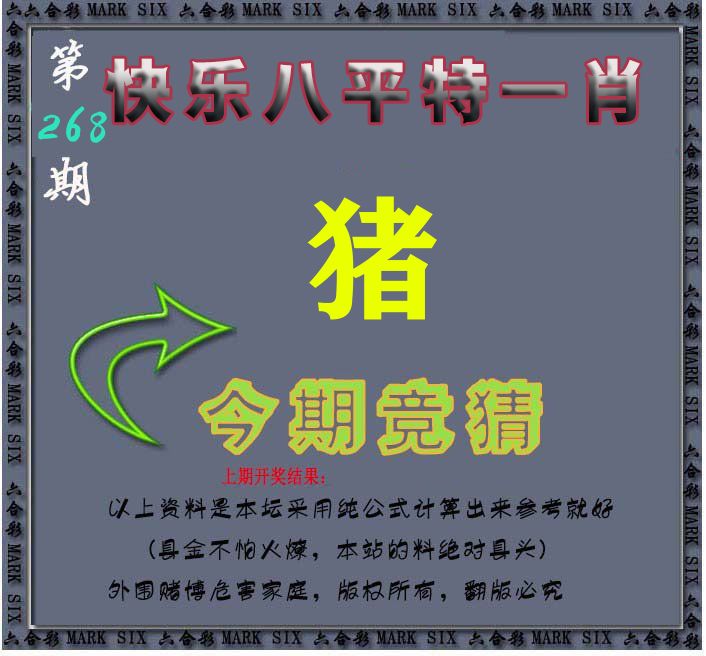 今期竞猜 第267期