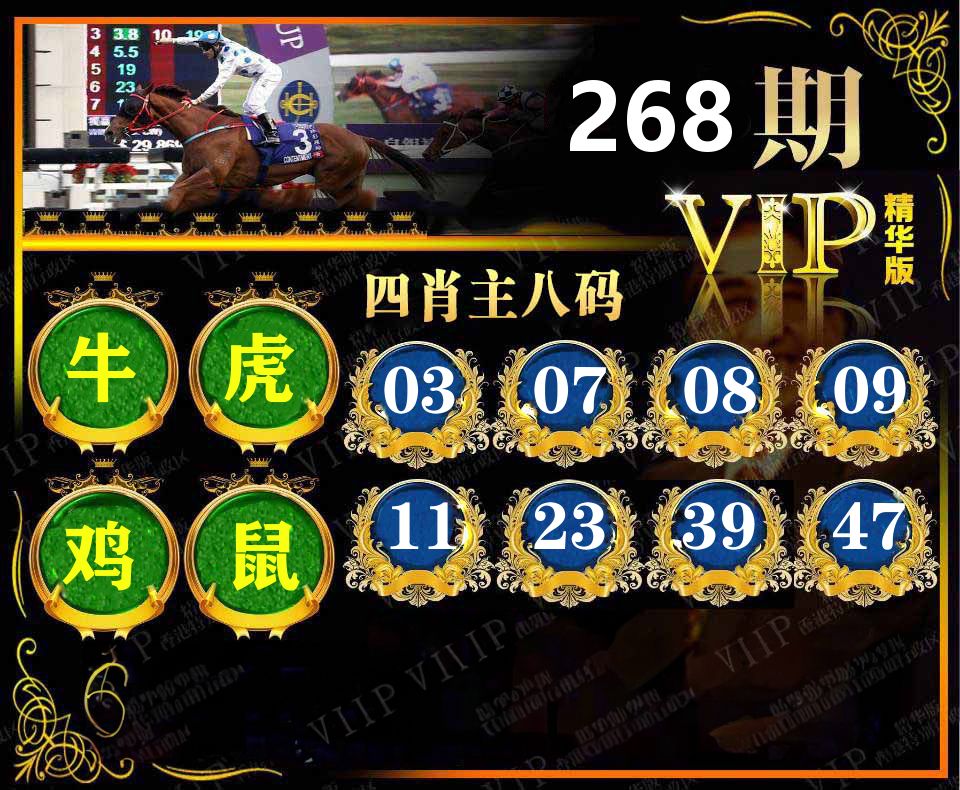精华四肖八码 第267期