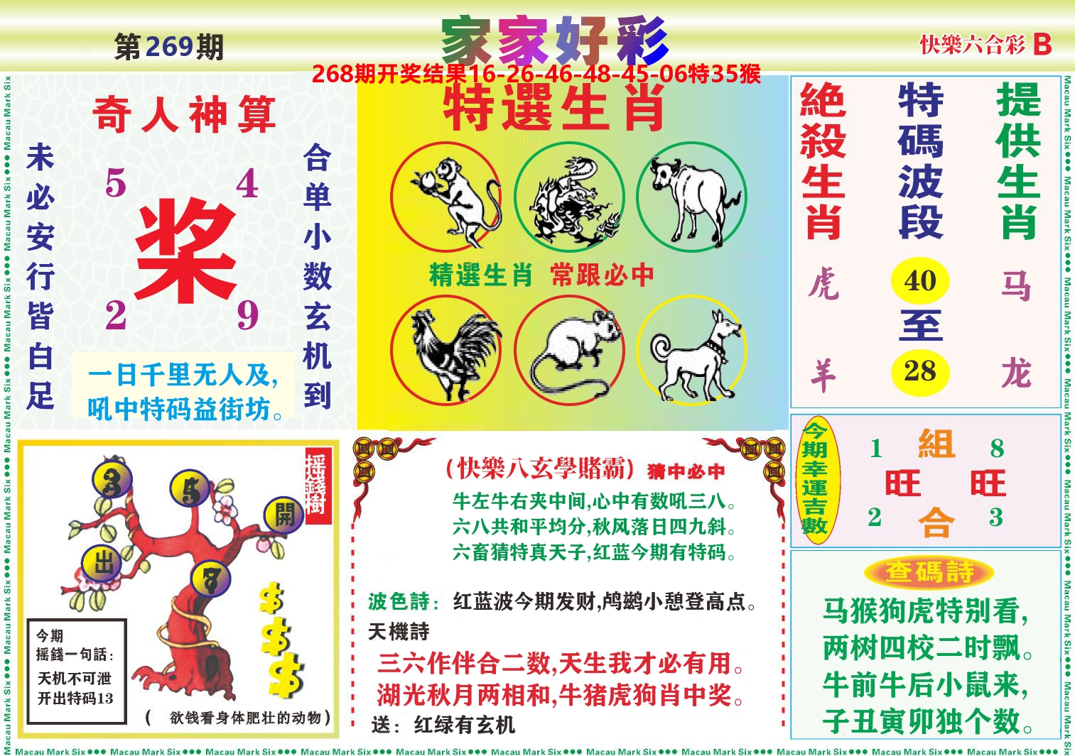 家家好彩B 第267期