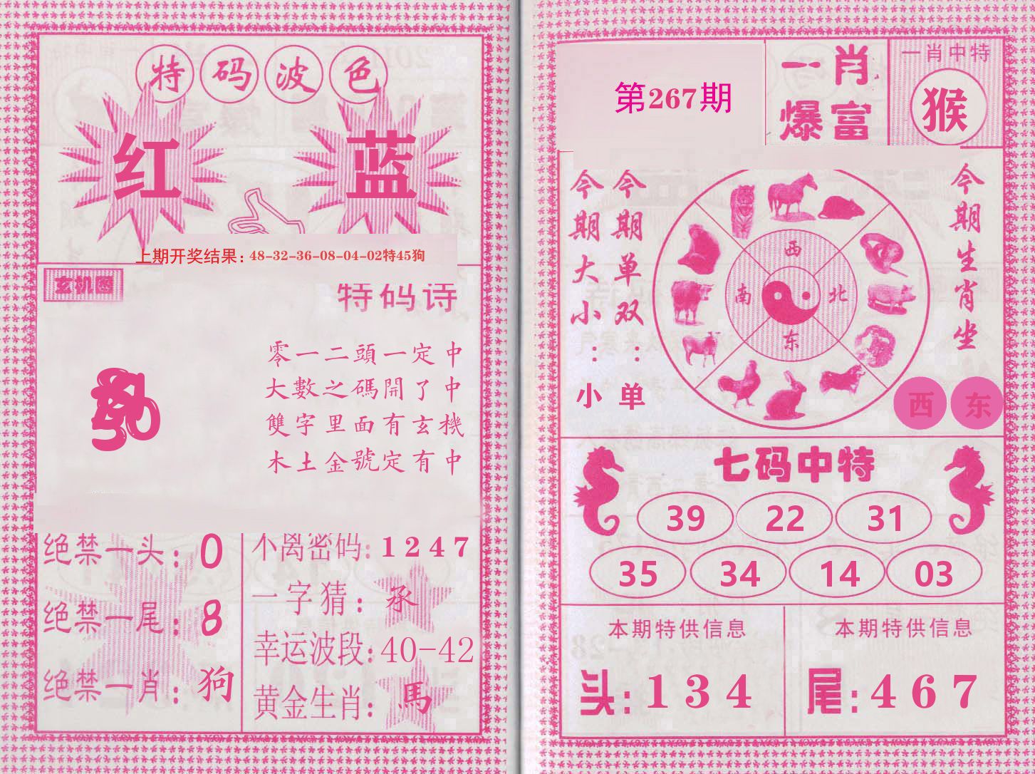 玄机中特 第267期