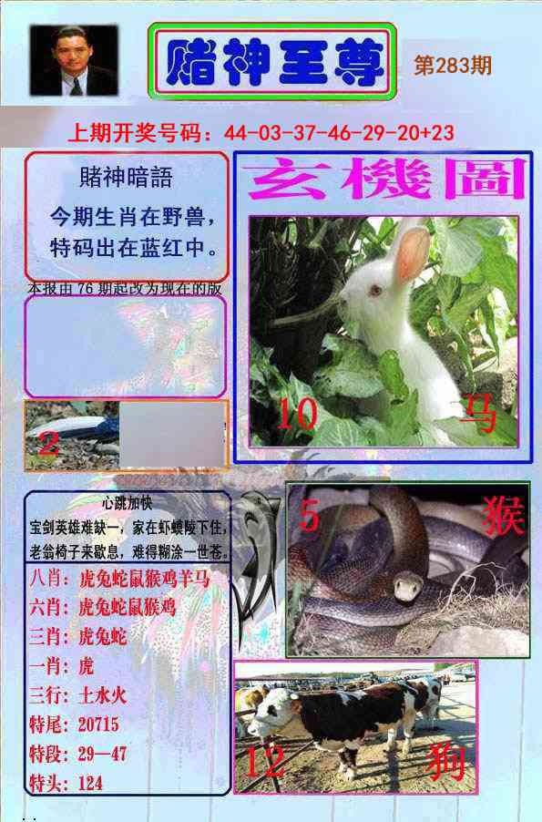 赌神至尊 第281期