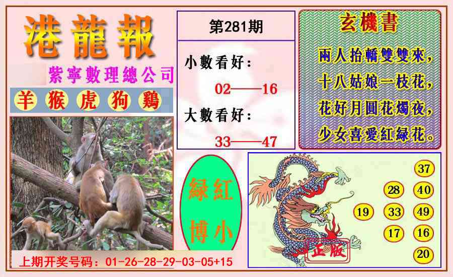 港龙报 第281期