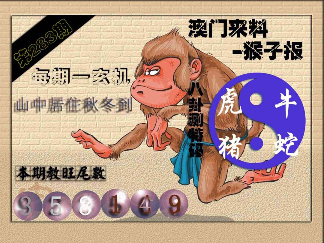 (来料)猴报 第281期