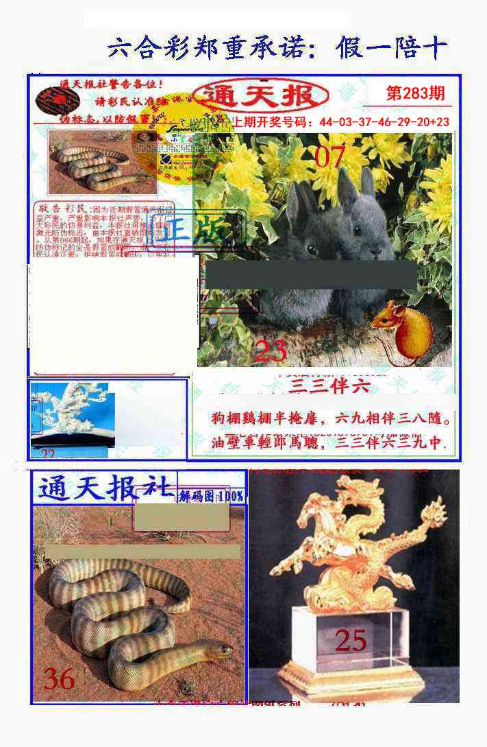 假一陪十通天报 第281期
