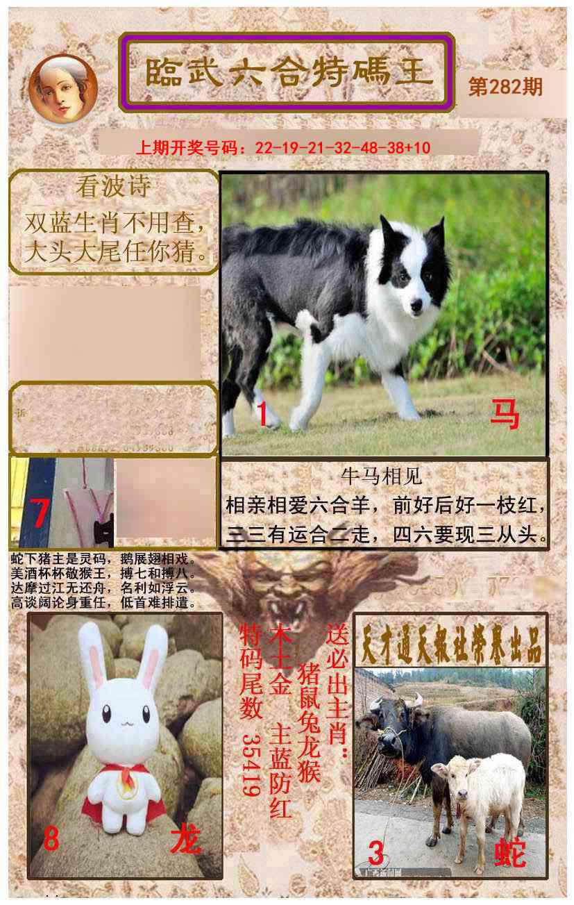 临武六合特码王 第281期