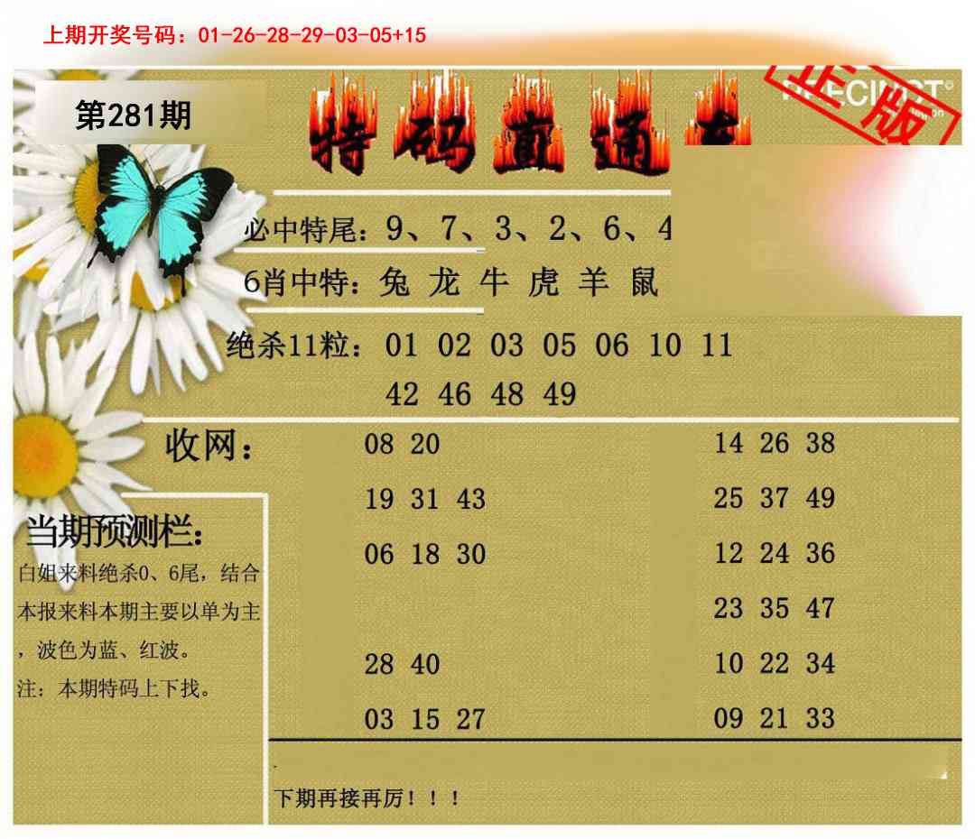 特码直通车 第281期