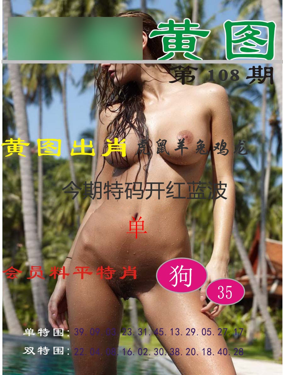 黄图 第108期