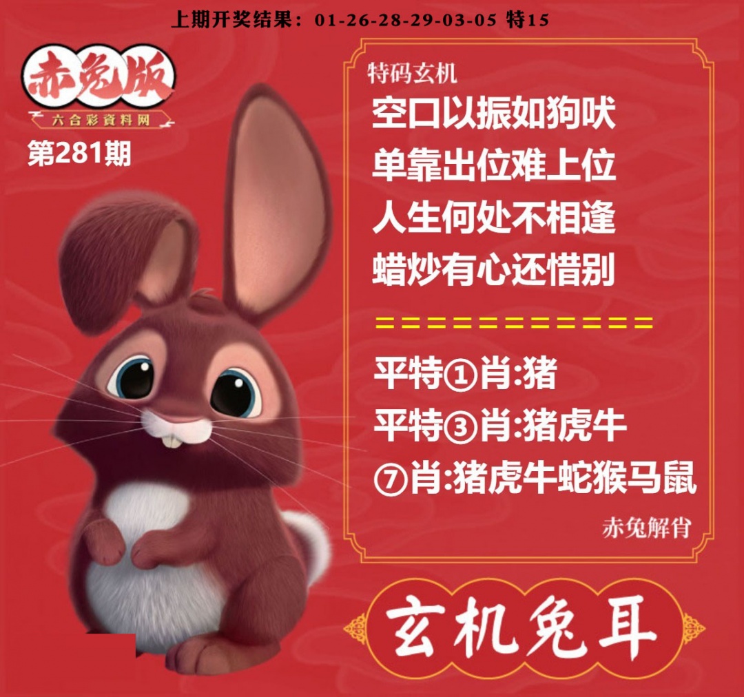 玄机兔耳 第281期