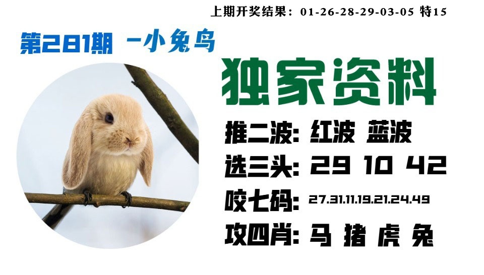 小兔鸟 第280期