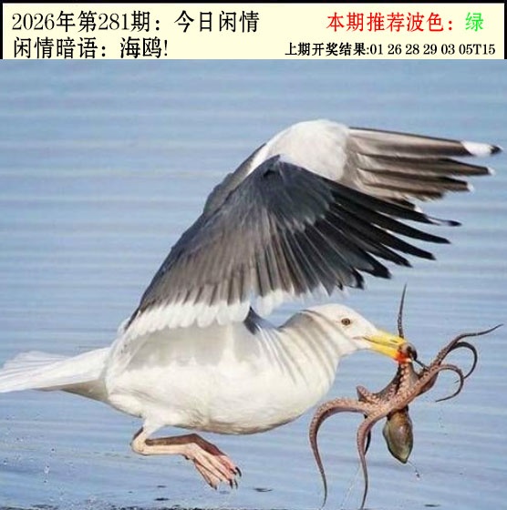 今日闲情2 第281期