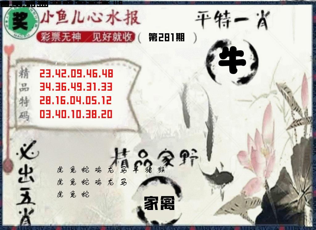 20码中特 第280期