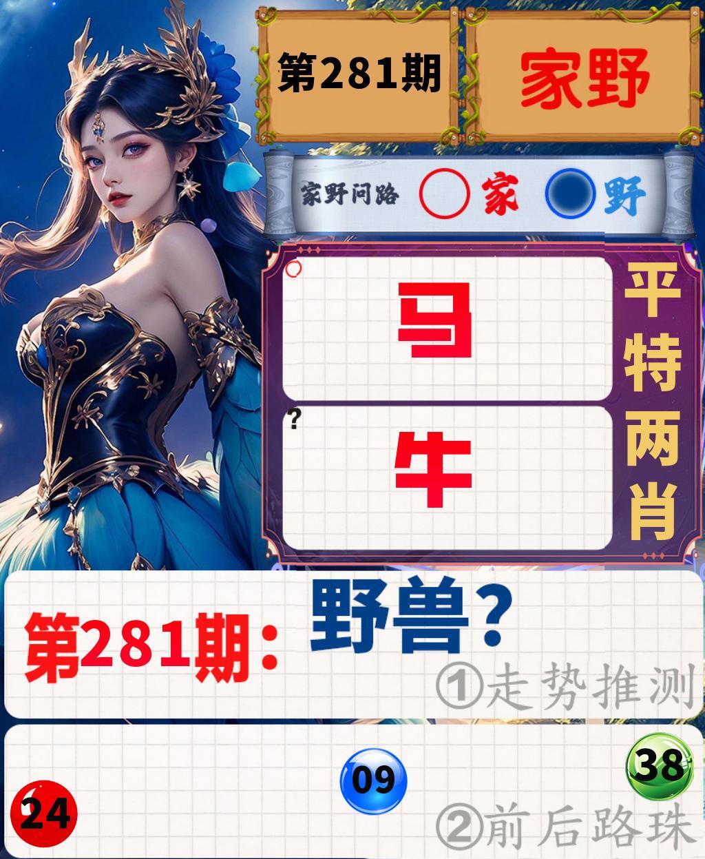 家野问路 第280期