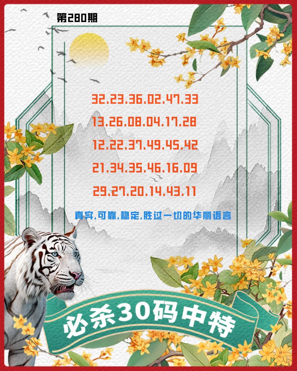 白虎杀30码 第280期