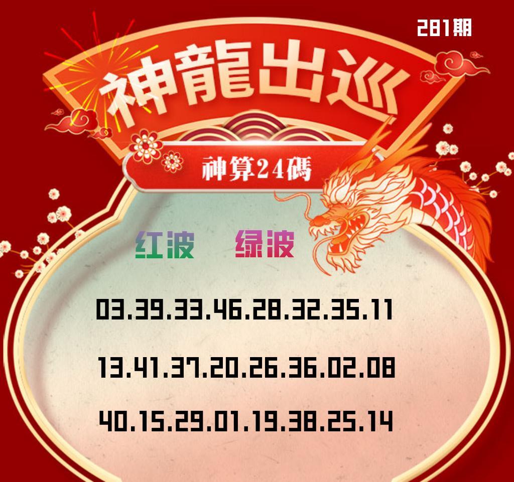 金龙双波24码 第281期