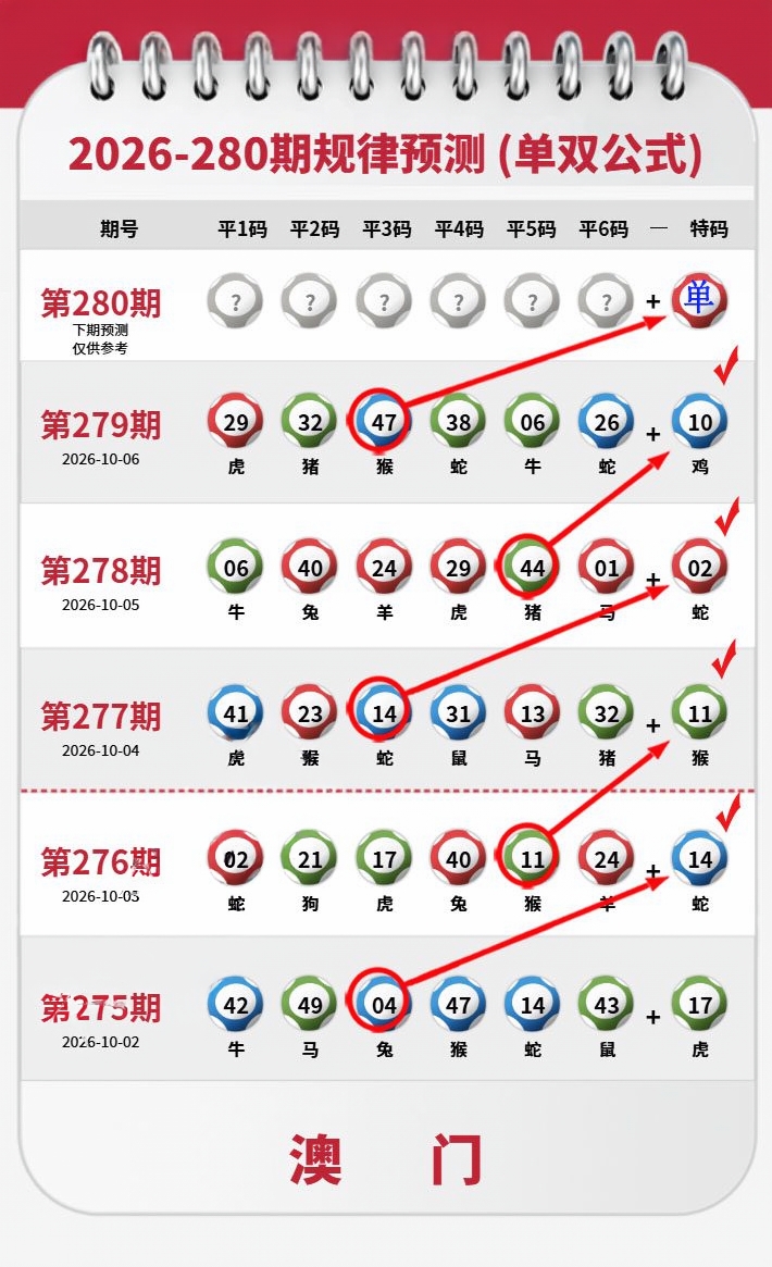 单双公式