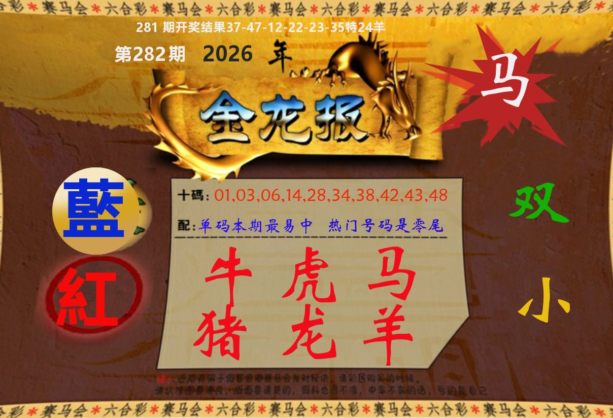 金龙报 第281期