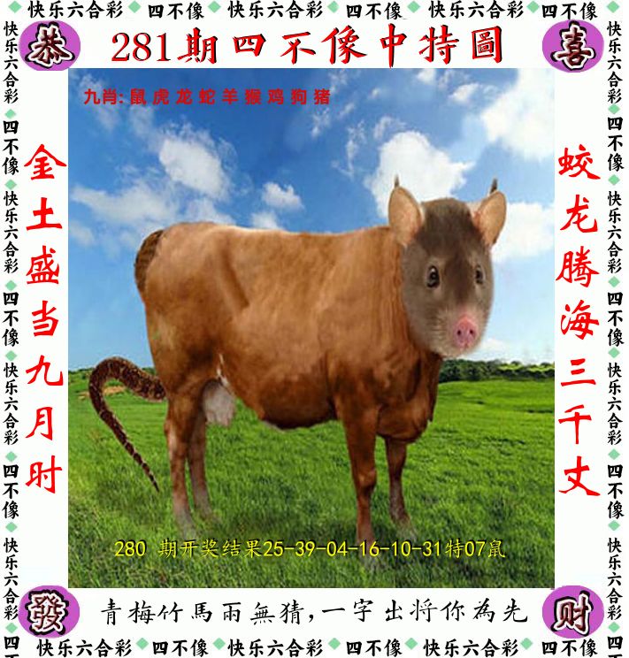 四不像 第281期