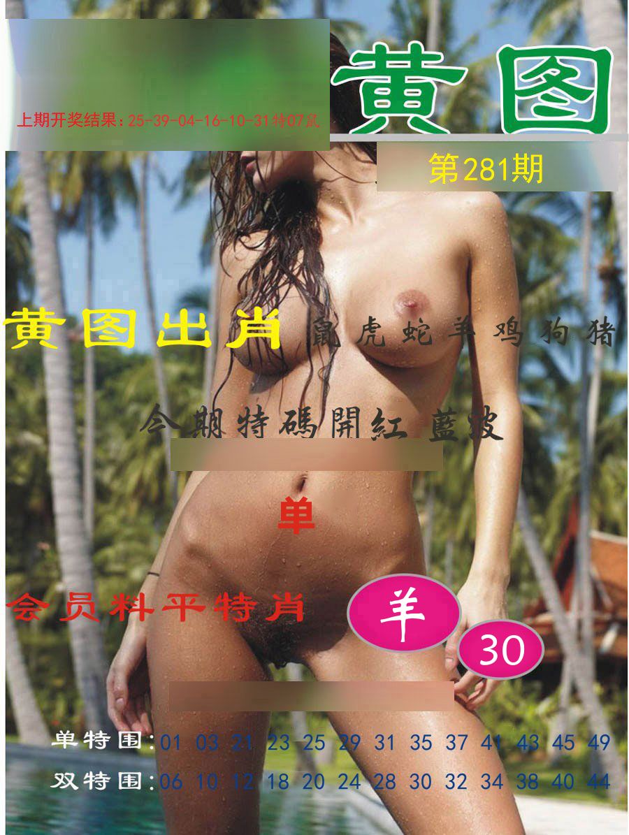 黄图出肖 第281期