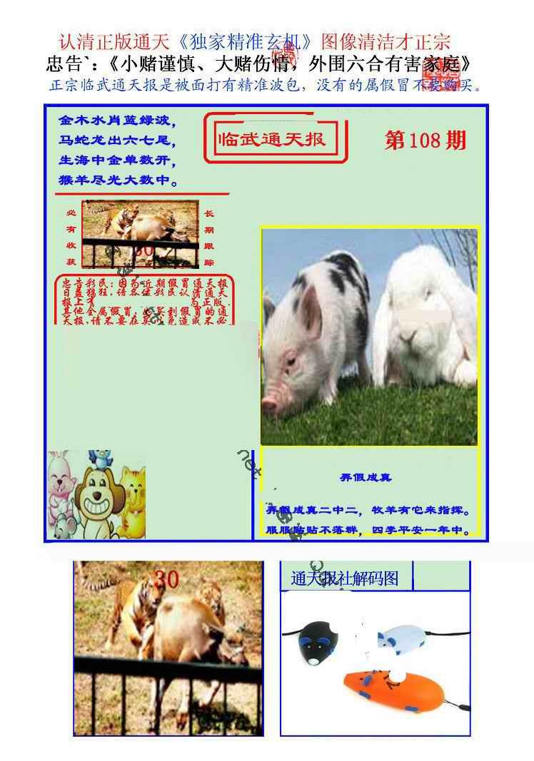临武通天报 第108期