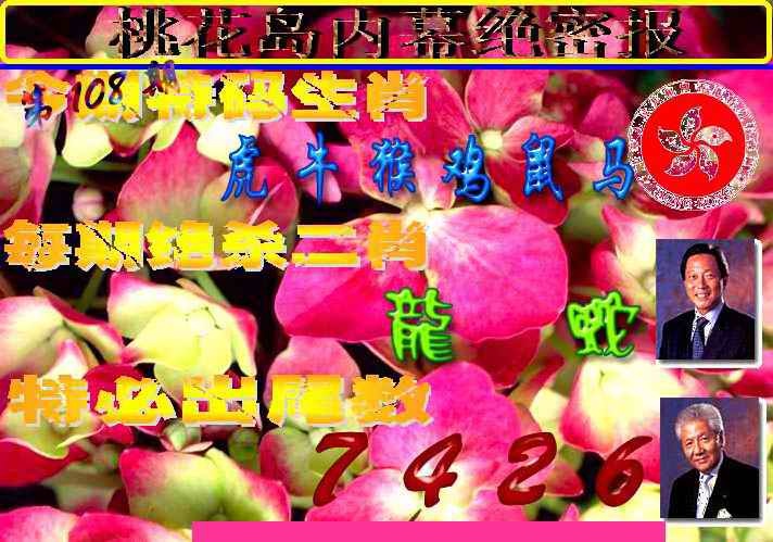 桃花岛内幕报 第108期