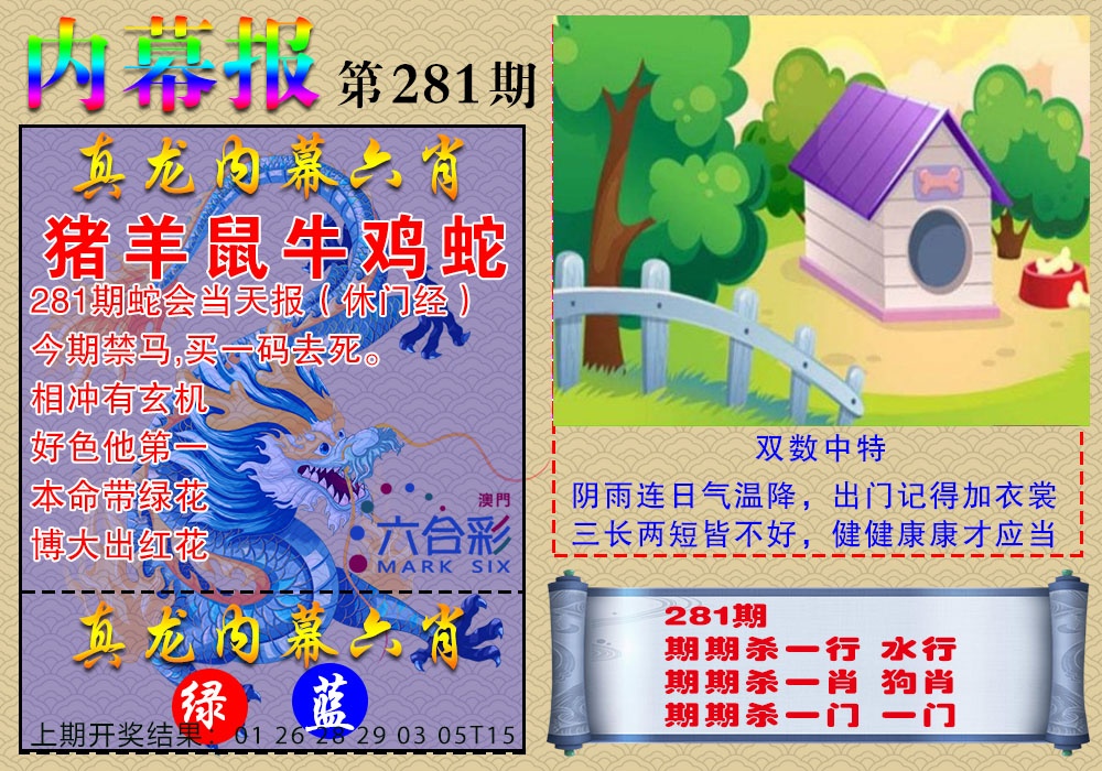 真龙内幕报 第281期